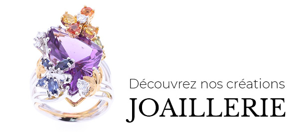 Découvrez notre joaillerie fine
