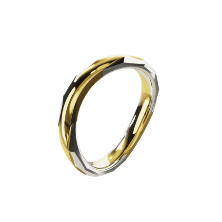 Bague Animus - B_027_J3N_G - Or jaune et or blanc