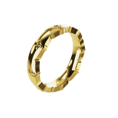 Bague Duc - B_119_J3N - Or jaune