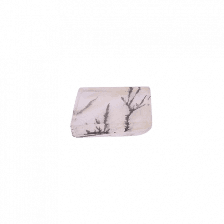 Quartz Dendritique - LB_P71